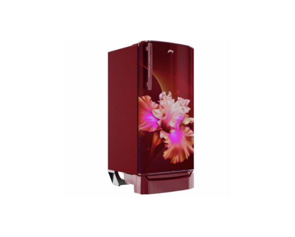Godrej 180L 3 Star Direct Cool Single Door Refrigerator (RD ERIOPLS 205C THF CR WN, Coral Wine) - Image 5